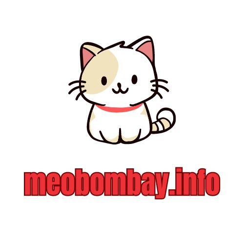 meobombay.info