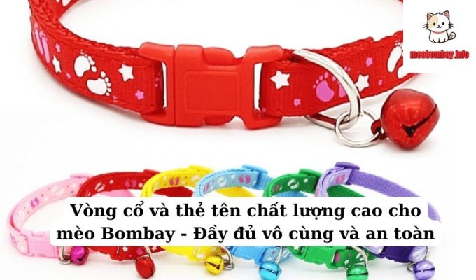 Vòng cổ và thẻ tên chất lượng cao cho mèo Bombay – Đầy đủ vô cùng và an toàn